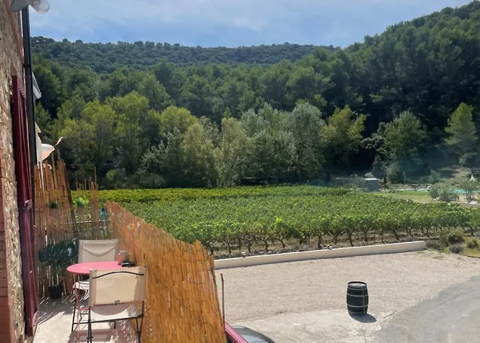 Appartement Au Calme Au Milieu Du Vignoble De Gigondas