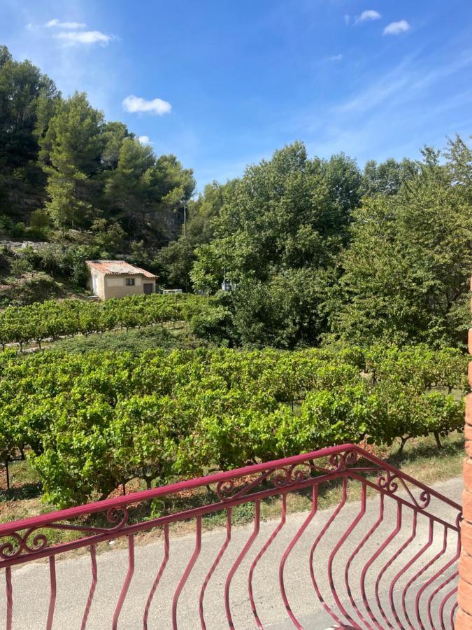 Au Calme Au Milieu Du Vignoble De * Gigondas