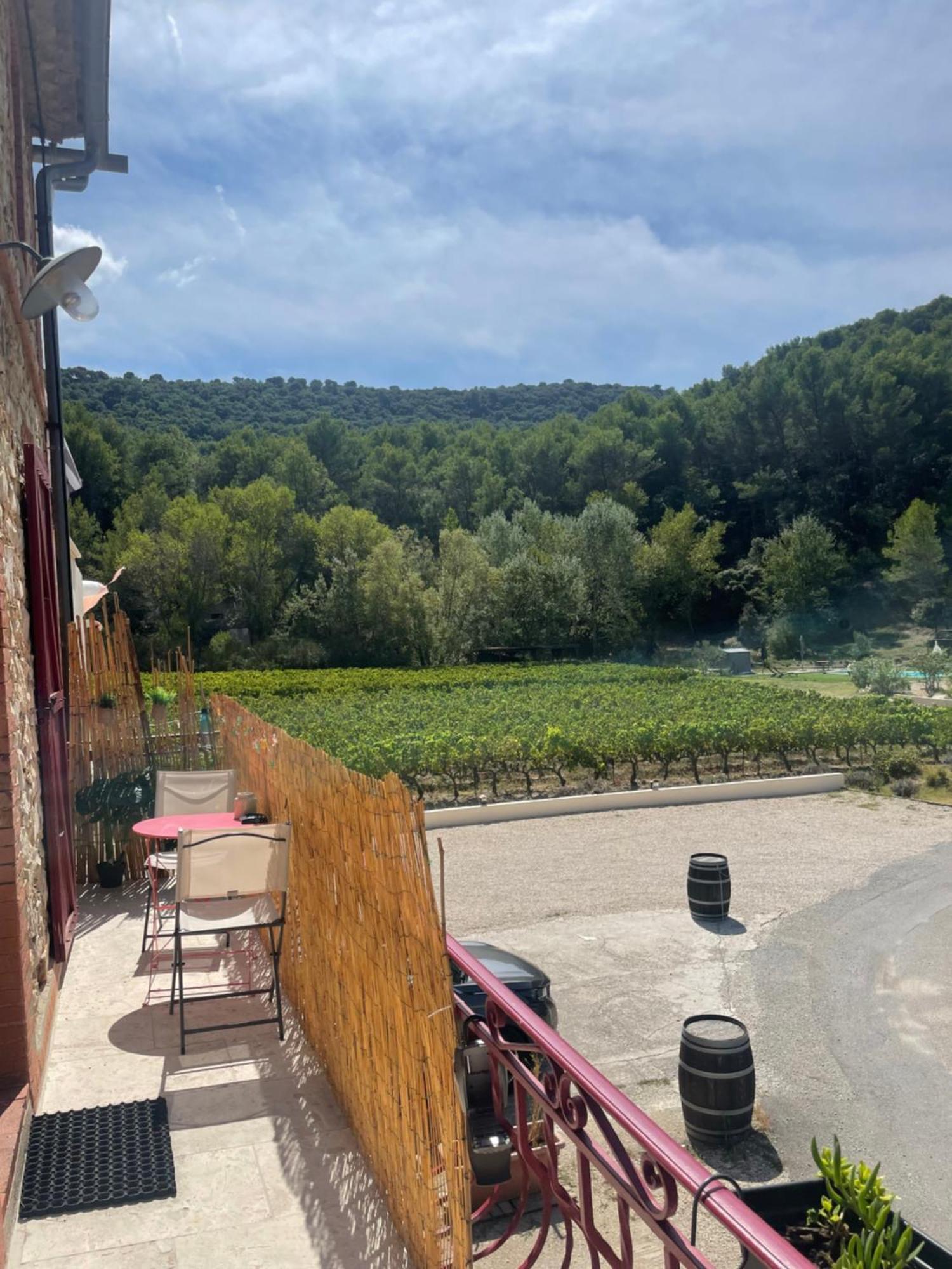 Au Calme Au Milieu Du Vignoble De *